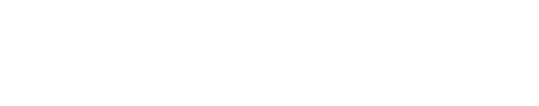 Logofinal-Leoforce